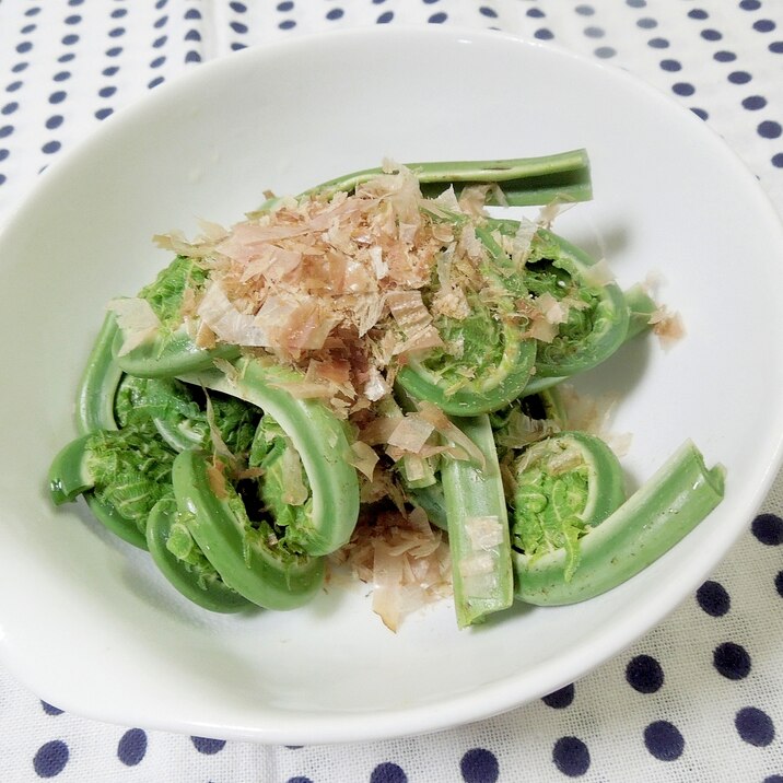 山菜で春の味覚☆こごみのおひたし